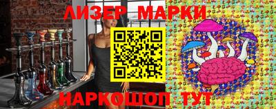 индика Обь