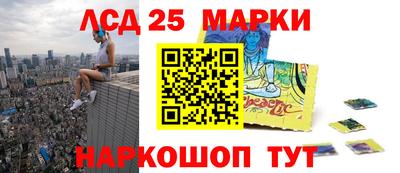 индика Обь