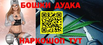 индика Обь
