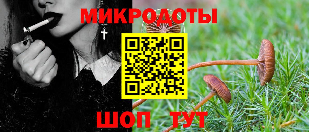 Псилоцибиновые грибы Psilocybine cubensis Углич