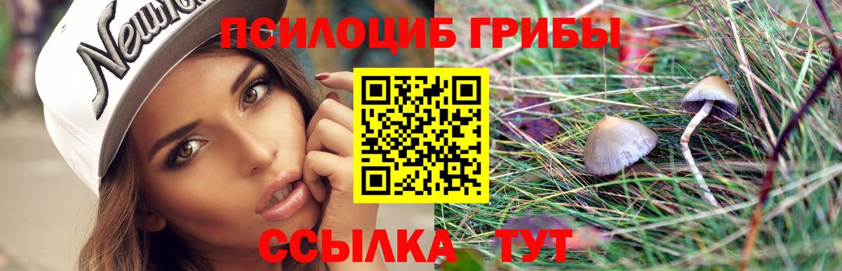 Углич  Галлюциногенные грибы мухоморы  Вход с VPN 